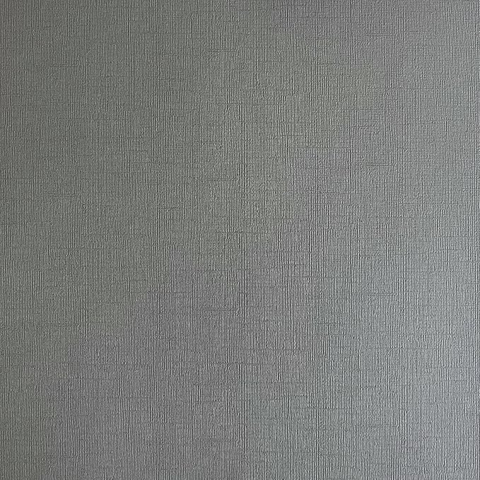 Tin Man—12x12 Textured Cardstock | 80lb Textured Gray Scrapbook Paper | Premium Cardstock for Cricut Cutting | 25 Sheets